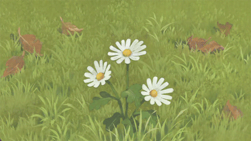 摄影爱好者看过来，小Mounsey决定带你去胡杨林拍片喽