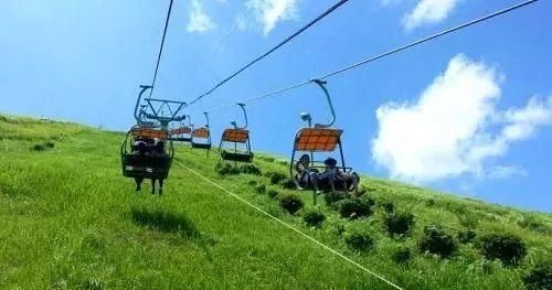 去了伊豆，才知道日本的美可以这样沁人心脾