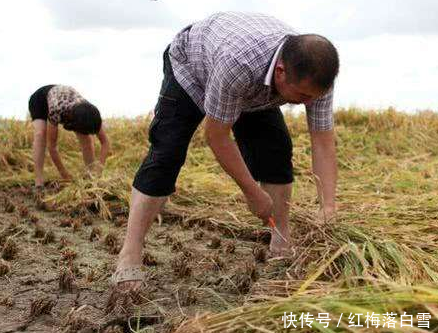 这三十个省份农村户口将全部取消，你家有没有在里面