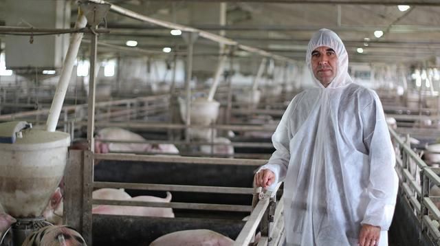  [猪瘟]一会禁止养猪，一会又鼓励养猪！猪瘟不可怕，怕就怕专家