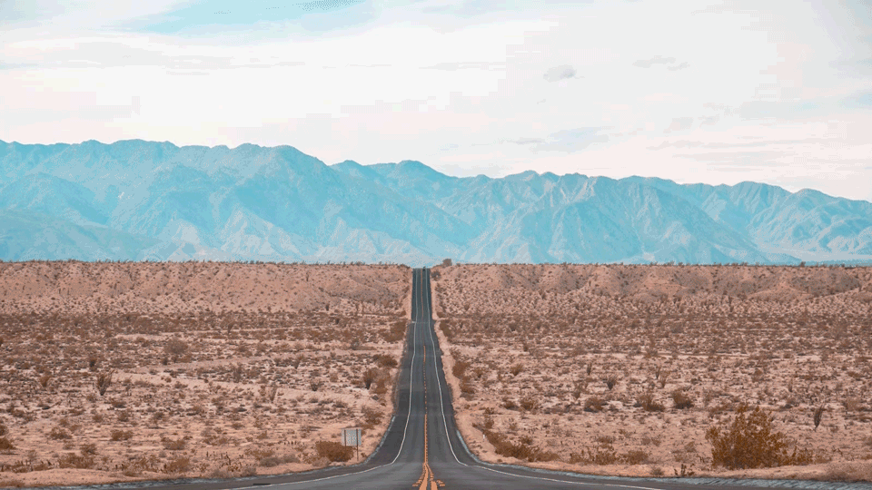 再过20天，中国将花开成海，错过再等一年