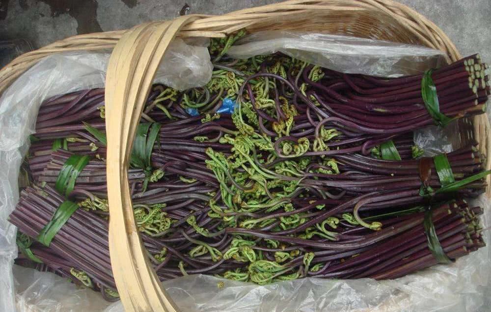  [蔬菜]产量高，种一次可收15年，20元一斤不愁卖，却没见多少人