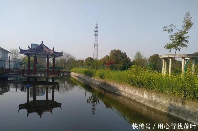  【春风】花开花落弹指间，唯有春风年复年！