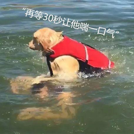 鳄鱼越狱了 合江亭被淹了…每到这时 谣言就开始出没了