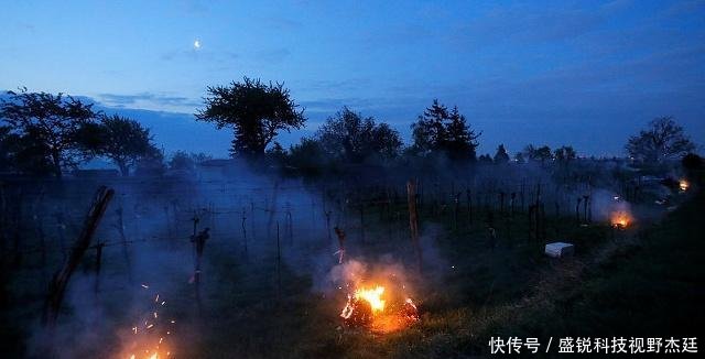  [秸秆]黑龙江9月秋收开始秸秆再次成难题，不让焚烧秸秆农民犯了