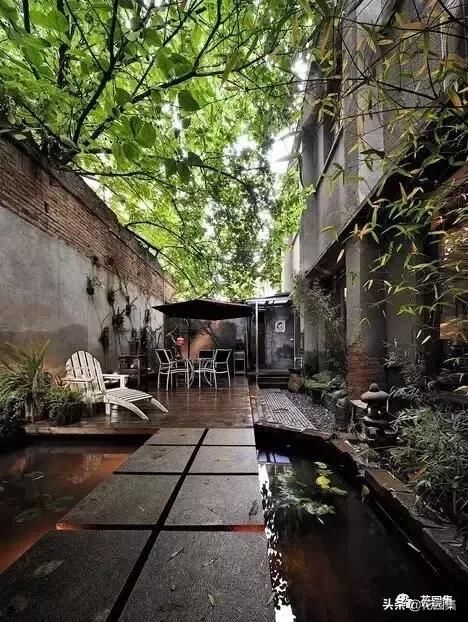 还是不会选择庭院的最佳景观焦点吗?我想你会需要这些