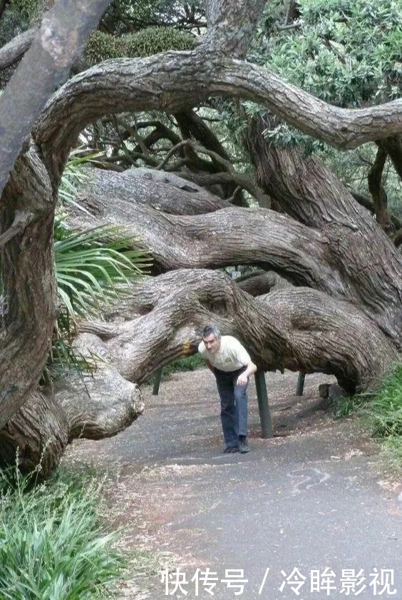 一组顶级照片，大开眼界！给大家欣赏欣赏