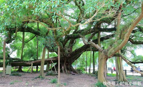 这样穿紧身打底裤,不仅时尚还能展现女生不一样的魅力!