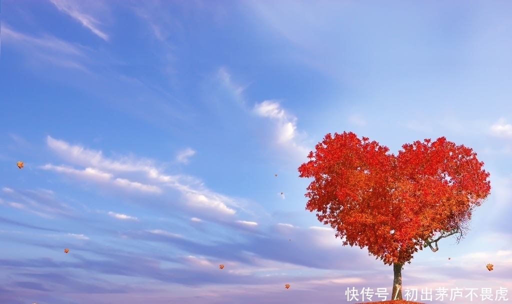  #大树#你走累了，有三颗大树你会在哪颗底下休息，测试你最近有什么好运