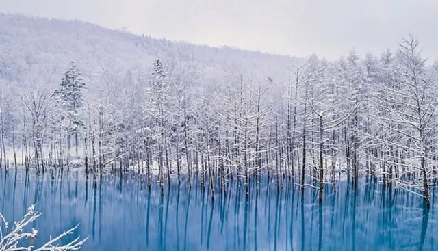 日本推荐！冬季一定不能错过的雪天绝景