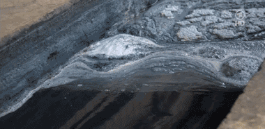 几名德国人在广东“卧底”数月后,揭露出时尚界不想让你知道的丑