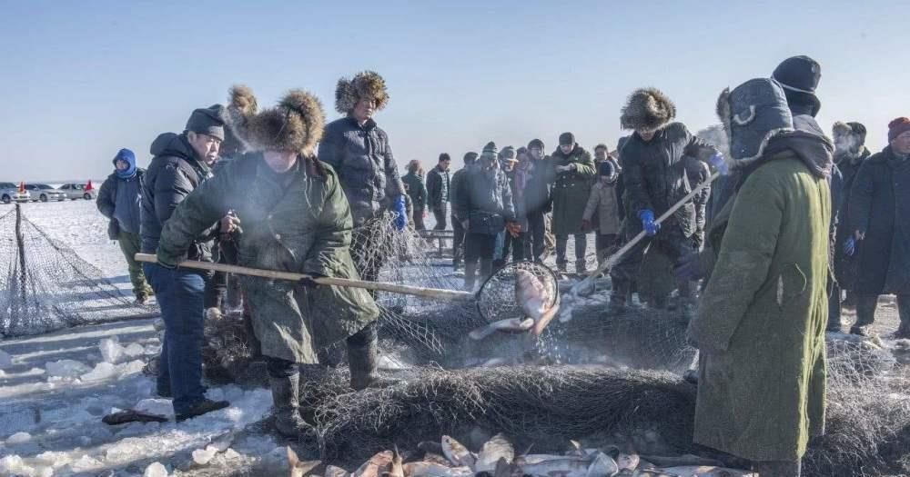  头鱼@“洗澡鱼”？查干湖售300万“天价头鱼”，年捕30万为何没