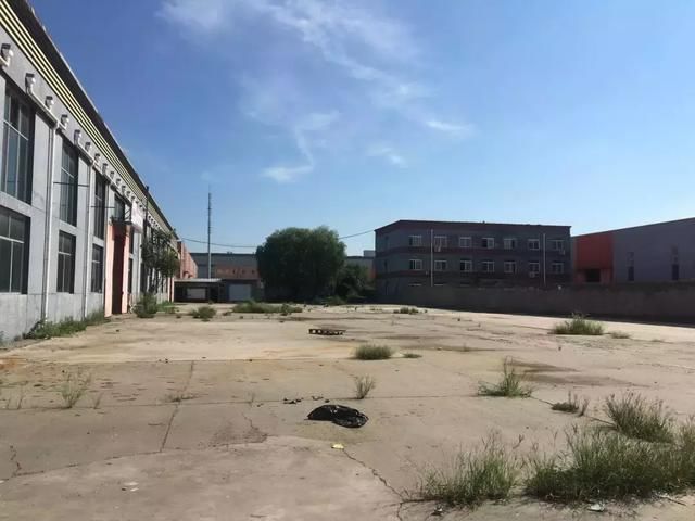 清华高材生卖童装上市，如今逾期90万遭追债，请看门大爷当老板