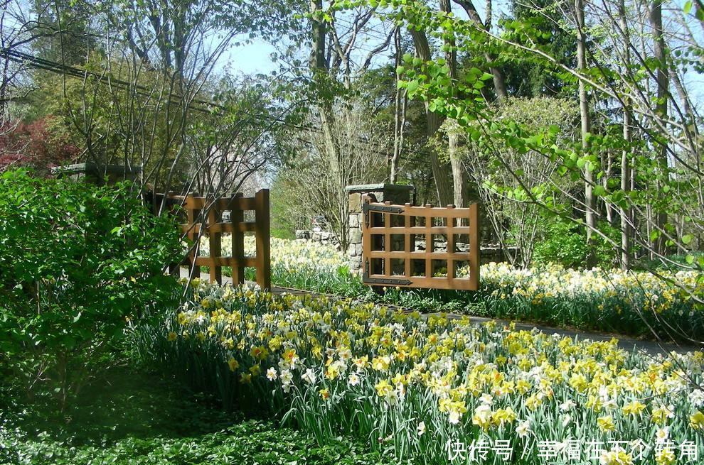  「快乐」篱笆小院住在乡村的快乐，你想体验吗！