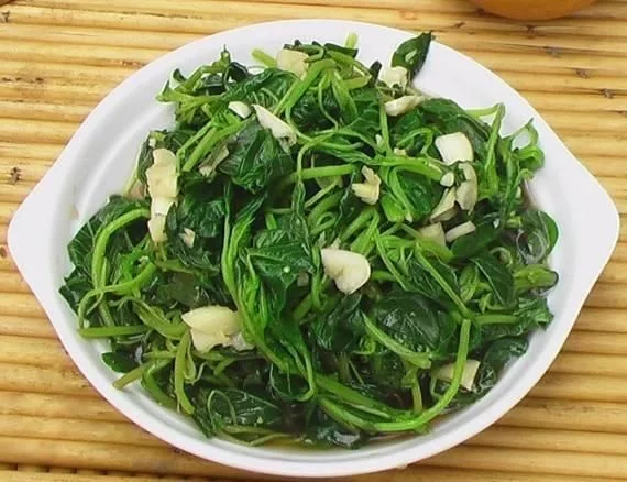 重庆人都知道,3月吃折耳根是对春天最起码的尊重