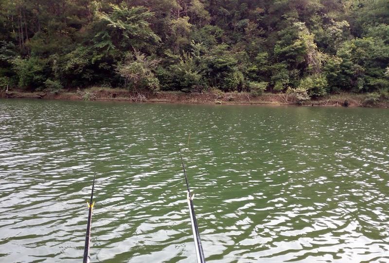 「熟记」春季钓鱼,熟记3钓3不钓,钓好鱼很轻松