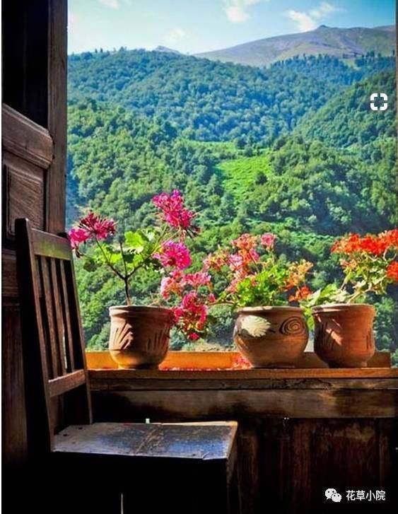 择一处小院，活一世风景！