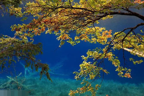 2小时抵达！从成都开往九寨沟的火车，沿途比北欧还美