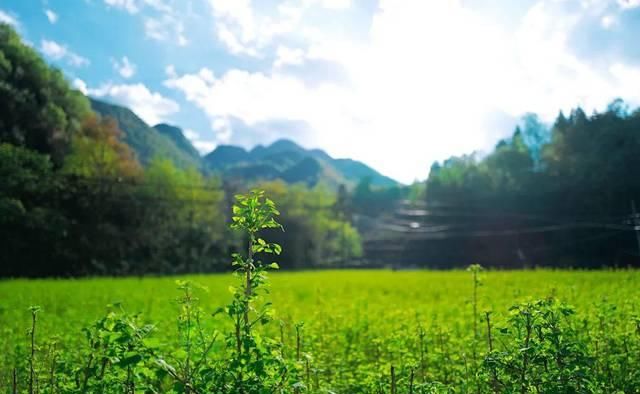  「超级多」让你的照片美貌营业，百万博主们都离不开它！