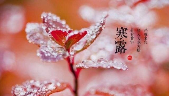 寒露节气，秋意正浓