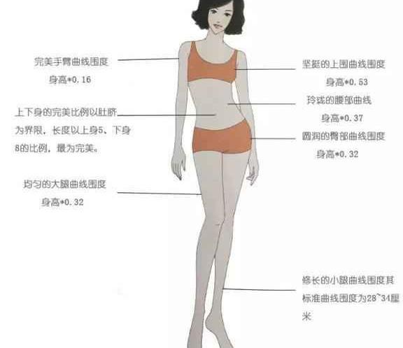 女生的身高体重对照表, 你达标了么