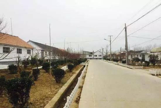  『经济』山东合村并居进行了十年，都有哪些利弊