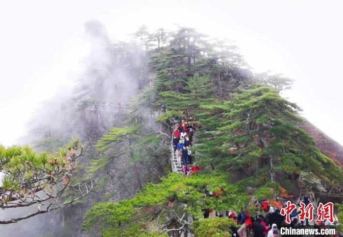 安徽黄山现连绵不断的美景风光（图稿）