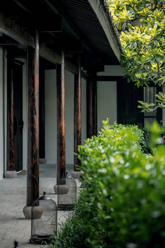 庭院深深，中式庭院 · 怡然自得