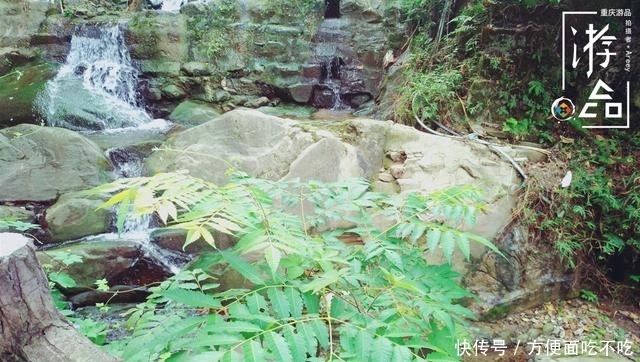 只知道重庆南山“一棵树”？其实，这里还有“壹碗水”