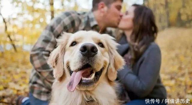 单身无罪，但要交税！难道“单身税”真的要来了吗