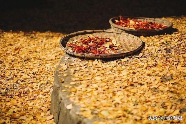 云南的秋天来了，这个小村又要开始搞“黄色”