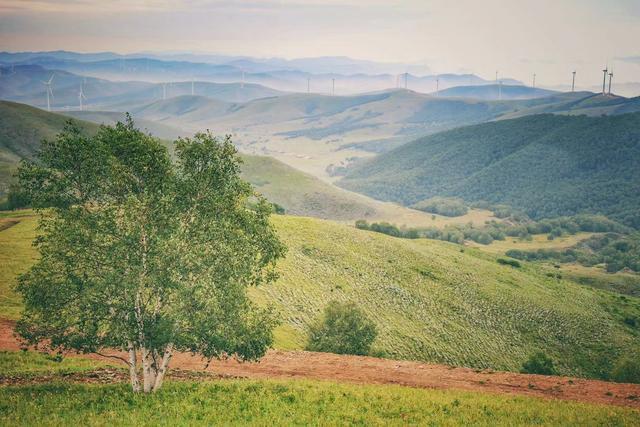 丰宁除了坝上草原，还隐藏着一个中国最美森林自驾者的天堂