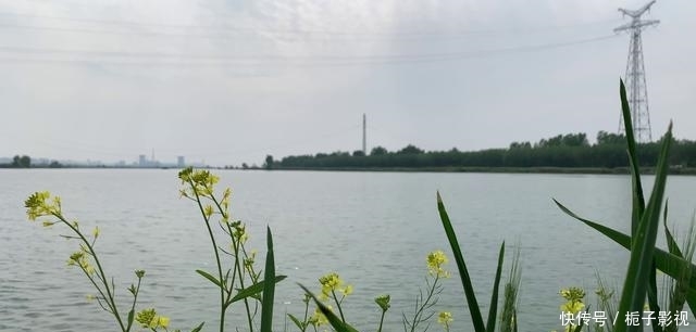  『淮河』淮南：钓鱼爱好者，在淮河钓起大母鳜鱼后，将其放生