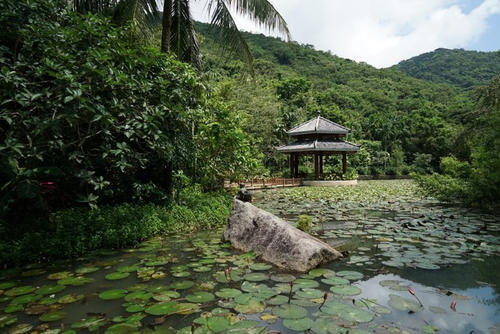 和萌宝的幸福三亚之行