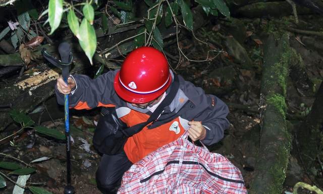 告诉你一个事实千万不要惊讶 距离成都百公里有个“非洲丛林”！