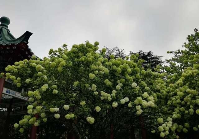  『如说』早春穿搭风向∣春天已经来了，如果不能出门踏春，那便把春天“穿”在身上！