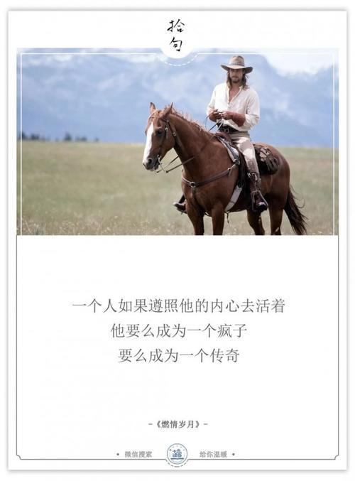 尊重现在，往事不记，后事不提