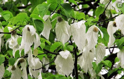 中国这里为国争光，使中国成为世界自然遗产最多国家，网友：自豪