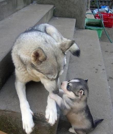 朋友闺蜜因为好玩，跟着别人在朋友圈转发了一条怀双胞胎的假消息