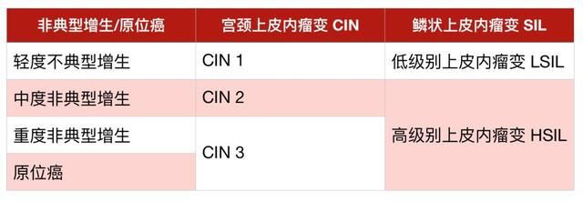 宫颈上皮内瘤变2级会变成宫颈癌吗?BMJ:别急
