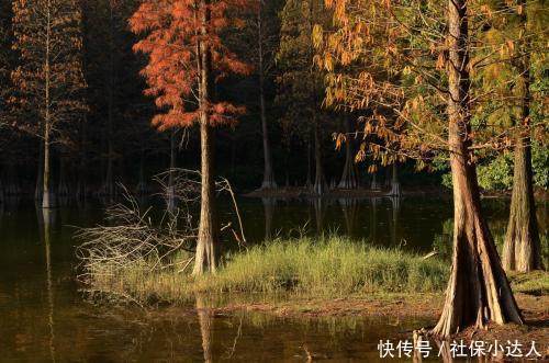  「医保」退休以后还要不要缴纳医疗保险呢？