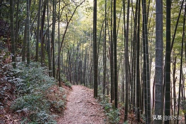 听山水品美食,细数小城里的惬意慢时光