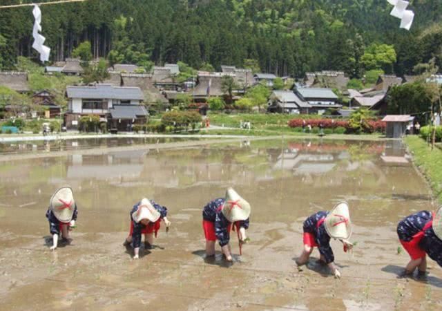 人口大城市化的日本，农村啥样？