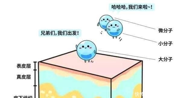 「打造」微整形打造“网红脸”,抹修养固很重要