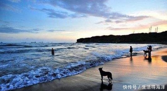 来中国直呼震撼,看到大陆的东西,台湾美女们这