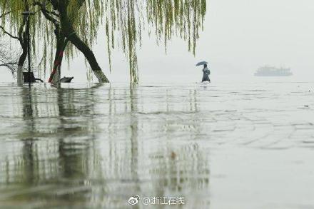 雨！雨！还是雨！到底要过多久才会重现阳光？