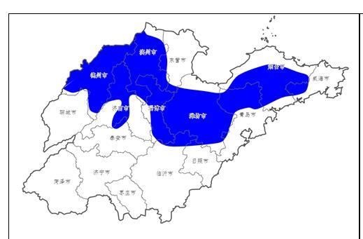  「地表」山东：低温+霜冻！地表最低温度-1℃！将对农业生产造成不利影响