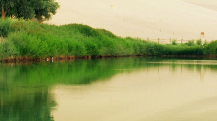  【救活】世界最美沙漠泉水，中国花19亿把它救活，其壮观程度让