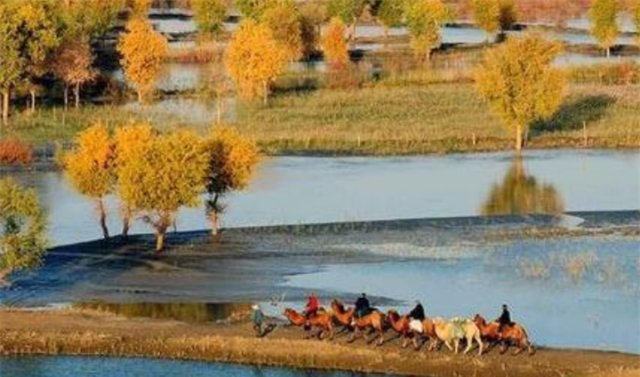  我国：我国面积最大的县，相当于2个浙江、2个江苏或32个上海的