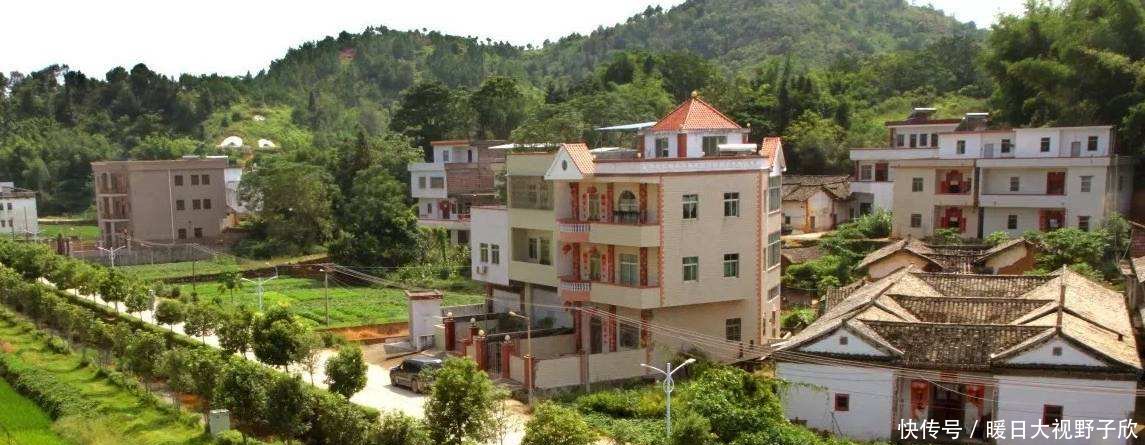 农村出了新的四大害，如今又来四大怪，老人不解这是咋了